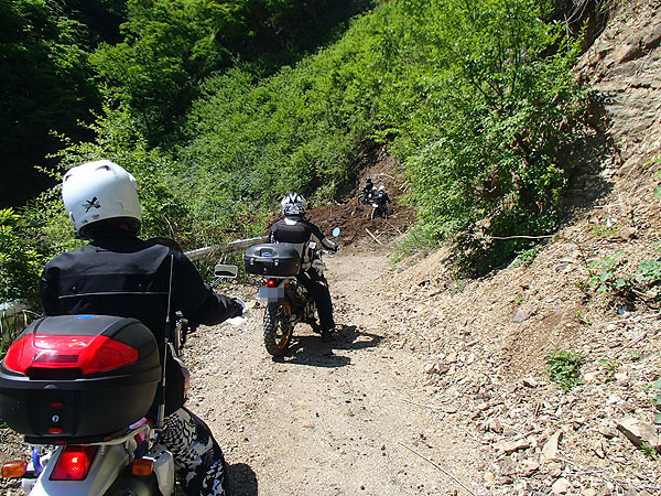 えっ～！本当に行くのぉ～！？